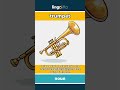 trumpet - a loud brass musical... video thumbnail