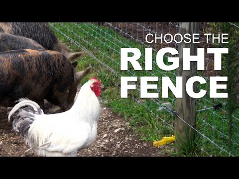 Video Preview - Choosing Fencing for any Livestock at Homesteady! 