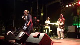 preview picture of video 'Horace Andy - In The Light (Live @ Reggae Jam 2009)'