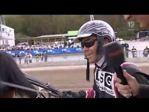 Svenskt Trav-Oaks Final 2016, Darling Mearas