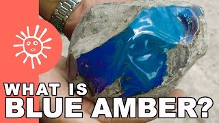 Download lagu What is Blue Amber? | Kiskeya.Life mp3 Download lagu What is Blue Amber? | Kiskeya.Life mp3