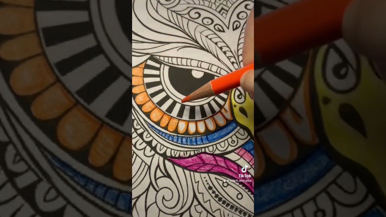 Color With Me. Owl from Mandala Animals Coloring Book @Color-2-Calm