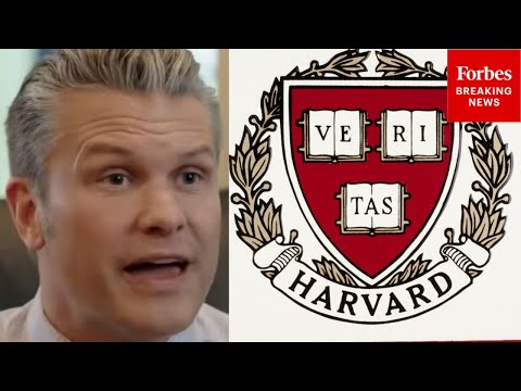 'DEI Was Literally Founded At Harvard': Pete Hegseth Announces Pentagon Will Cut Ties With Harvard