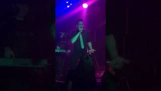 Elegant machinery - Shattered Ground Live