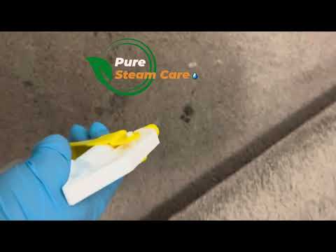 Pure Steam Care video.