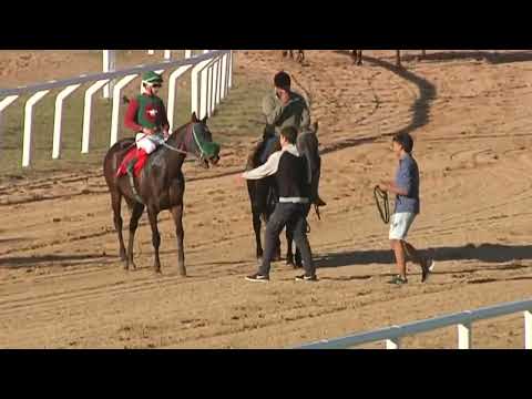 HIPODROMO SINT MELO - 220520 c06 1° REGALADA PICK