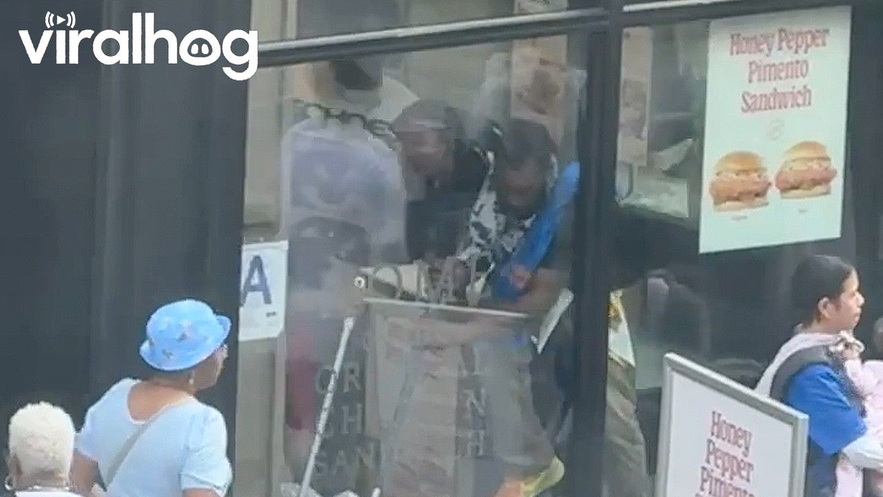 Restaurant Employees Spotted Throwing Out Live Rat || ViralHog