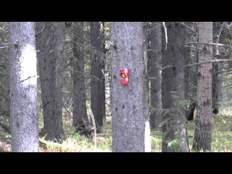 Exploding target .22 Caliber