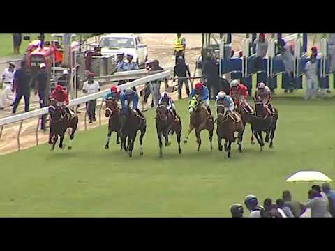 RM5 R5 - Perplexing | O.Plaçais