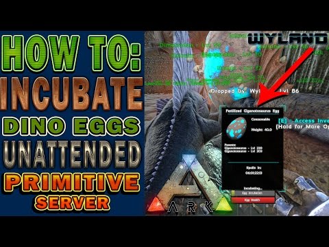 Ark Survival Primitive Server - How to Incubate Dino Eggs Unattended - Dimetrodon