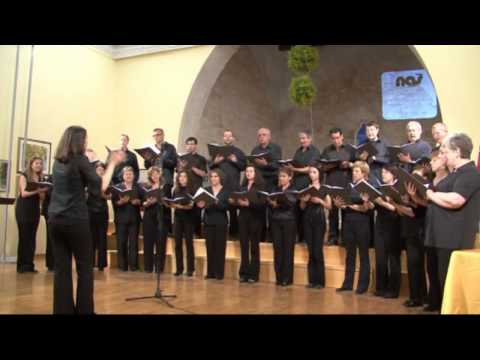 SAJAM (FAIR) - RONDO HISTRIAE