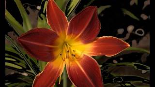 Maria Elena Mix   432Hz