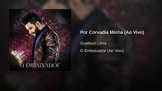 Gusttavo Lima Dvd novo 2019  -  Por covardia minha  ( ao vivo)