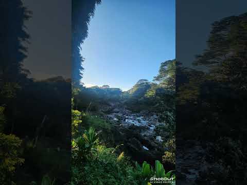 I Think I See Gold - Ray Boltz (Accompaniment Track)