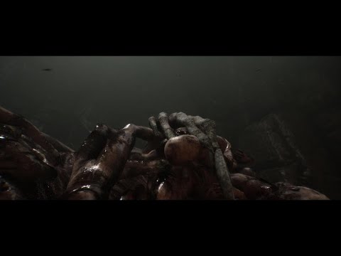 Lords of the Fallen: Der Fleischsammler - Bossfight (Solo)