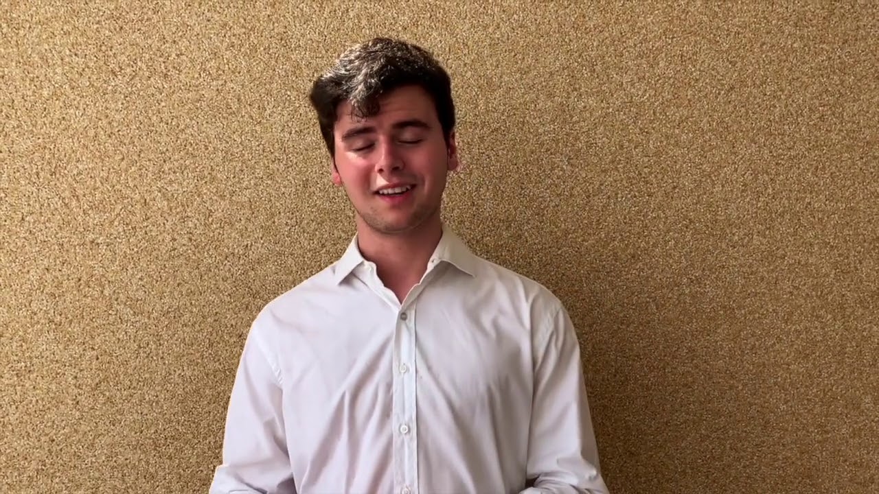 How Has the Internet Changed the Way We Look at Work | Pedro Oliveira | TEDxYouth@TBSRJ