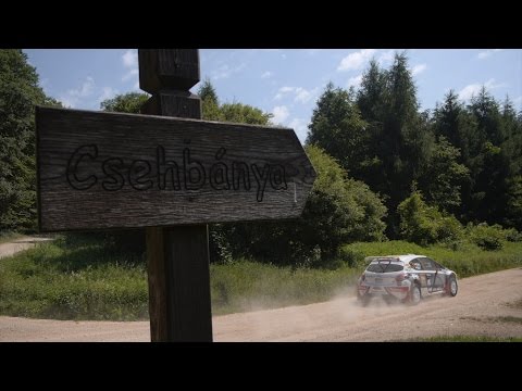 Székesfehérvár Rallye 2015 - Egy jóhangú 208 T16 R5