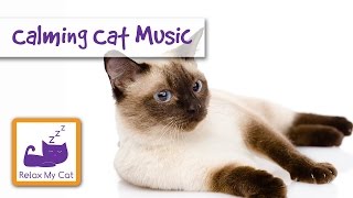 How To Calm Down Your Cat with Music