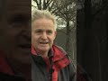 Schapen DOODGEBETEN door WOLF | #shorts