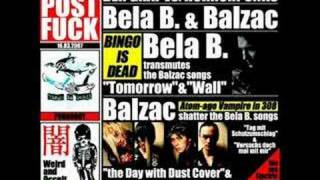 Balzac - Why not try me instead