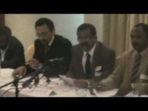 Press conference on doctors strike in Sudan (4)