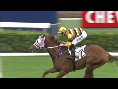 29/11/2020 (228) Team Spirit - T Piccone