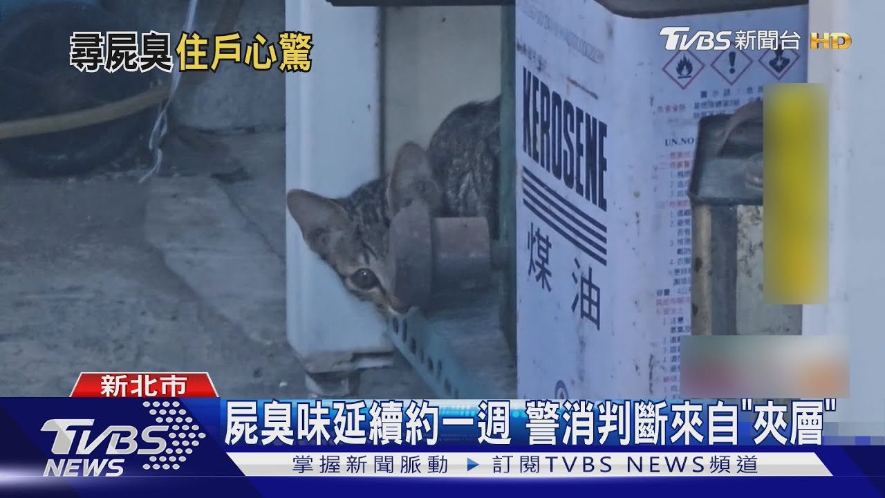 命案?鄰居家飄「屍臭味」近一週 警消大陣仗到場