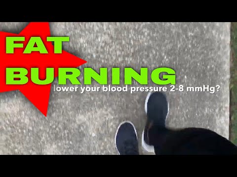 20 Minutes Brisk Walk | Walk at Home Workouts | Lower BP
