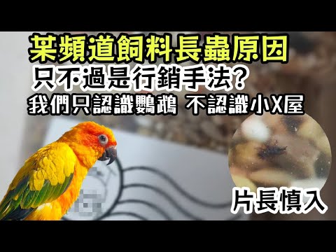 鸚鵡小木屋 爭議