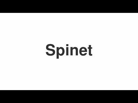 How to Pronounce "Spinet"