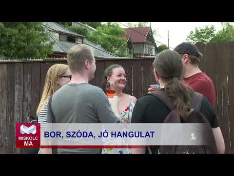 Videó előnézet