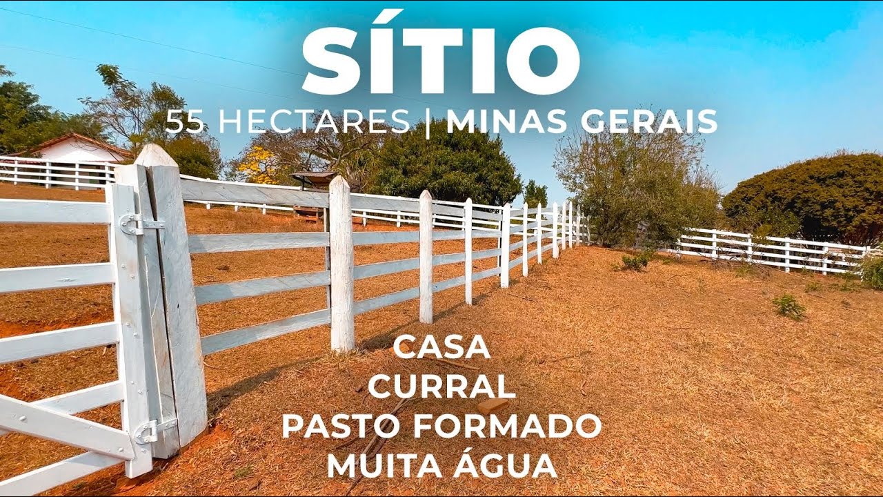 SÍTIO 55 HECTARES, PASTO FORMADO, 3 REPRESAS, CORRÉGO E BOAS NASCENTES