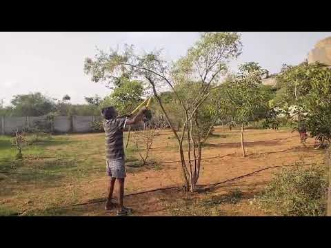 Vedhaa's Sreehitha Farms - Project Walkthrough