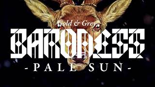 Pale Sun Music Video