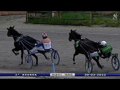 Aversa trotto 30 Marzo 2022 - 1° Corsa