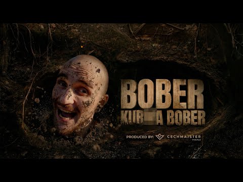 Bober x 4Money - K*RWA BOBER