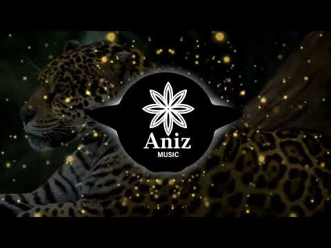 Brazilian Dreams - itsAniz