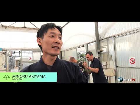 Crespi Bonsai, 14° Raduno Internazionale del Bonsai e Suiseki