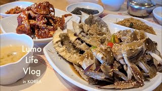 [韓国vlog] カンジャンケジャンの食べ放題に挑戦 / デペサムギョプサル / ざくろエキス / 日本人主婦の韓国暮らし+猫との暮らし=한국일상 브이로그 [KOR]
