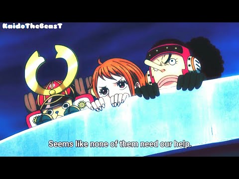 Straw Hats Pirates Vs Animal Kingdom Pirates! (English Subs)