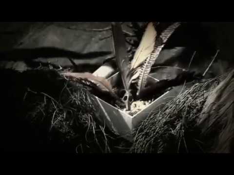 Sanne De Neige - Venin