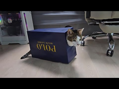 내가 원했던건 이게 아니었지만 만족한다