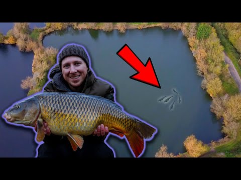 ⛄️❄️🎣Catching carp in the cold | Winter Carp Fishing