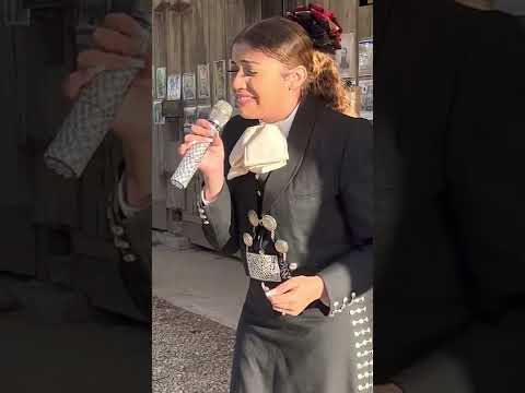 Sufriendo A Solas …Kaylanie Barrera ..