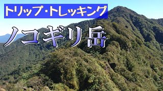 ロンリ～実況登山。割石峠～鋸岳（愛鷹連峰.北３）