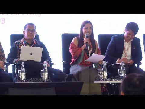 Achieving the UN High-Level Meeting Commitments on TB