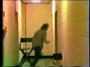 R. Stevie Moore - It's My Life (Animals) (1980 ...