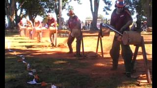 preview picture of video '2012 Australia National Chainsaw Titles,Under 77cc Unlimited Speed'