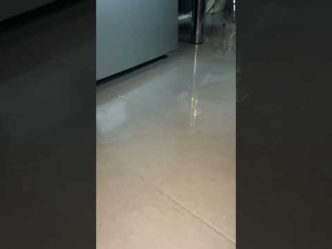 Thane UK - No one has answered emails - Image 3