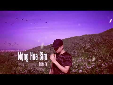 [ KARAOKE ] MỘNG HOA SIM - THIÊN TÚ ( Beat NAM  ) Hạ Tone Dm